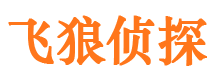 平湖出轨调查